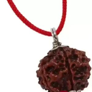 5 Mukhi Rudraksha Wood Pendant