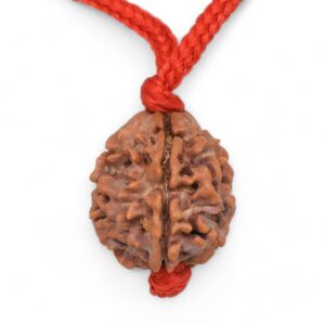 3-Mukhi-Rudraksha-Nepal-Pendant-1