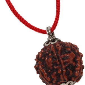 6 Mukhi Rudraksha