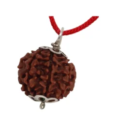 Rudraksha
