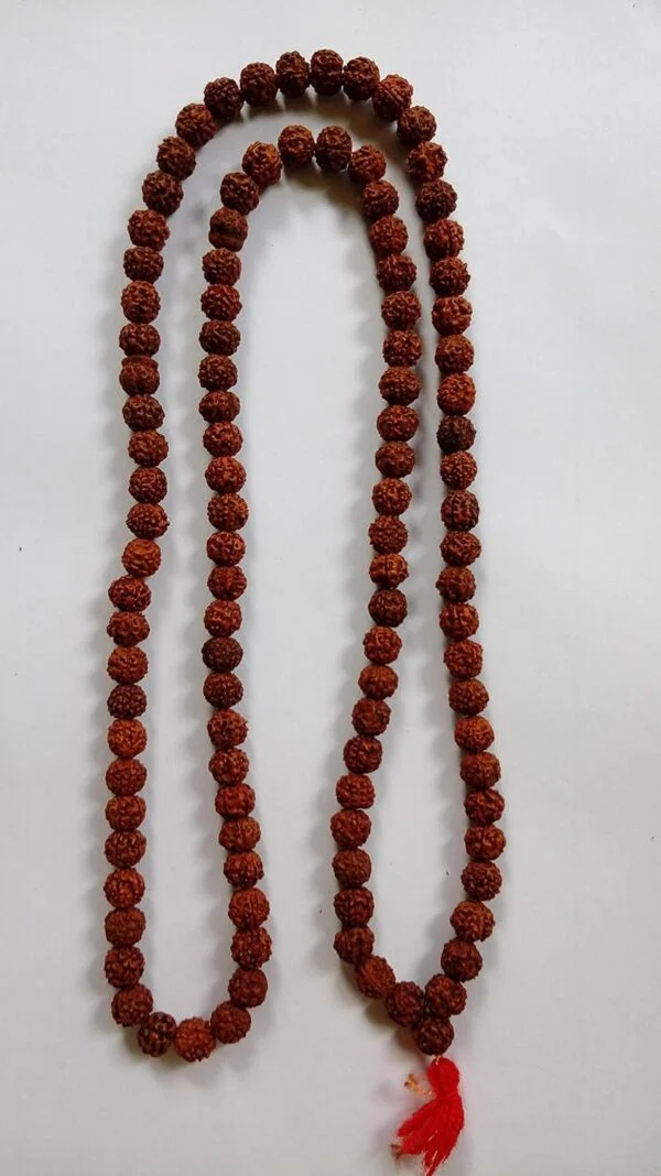 Rudraksha 5 Mukhi Rudraksha Jaap Mala