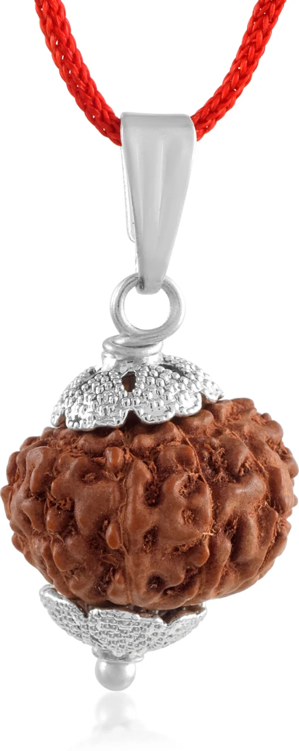 10 Mukhi Rudraksha