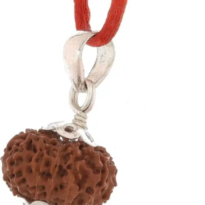 11 Mukhi Rudraksha