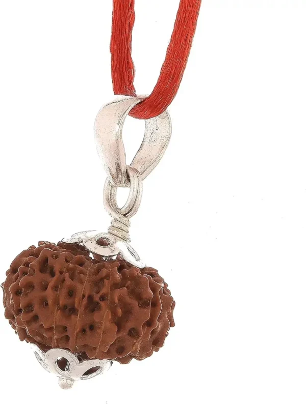 11 Mukhi Rudraksha