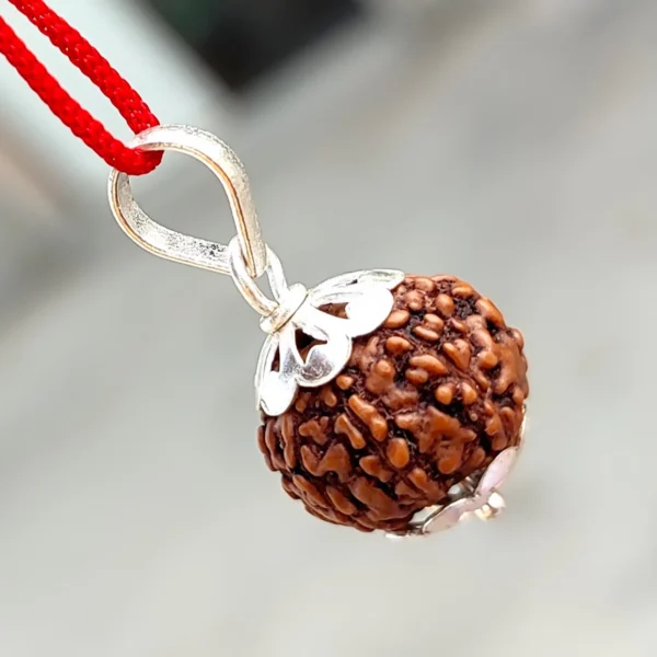 8 Mukhi Rudraksha