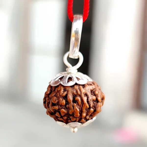 9 Mukhi Rudraksha Pendant